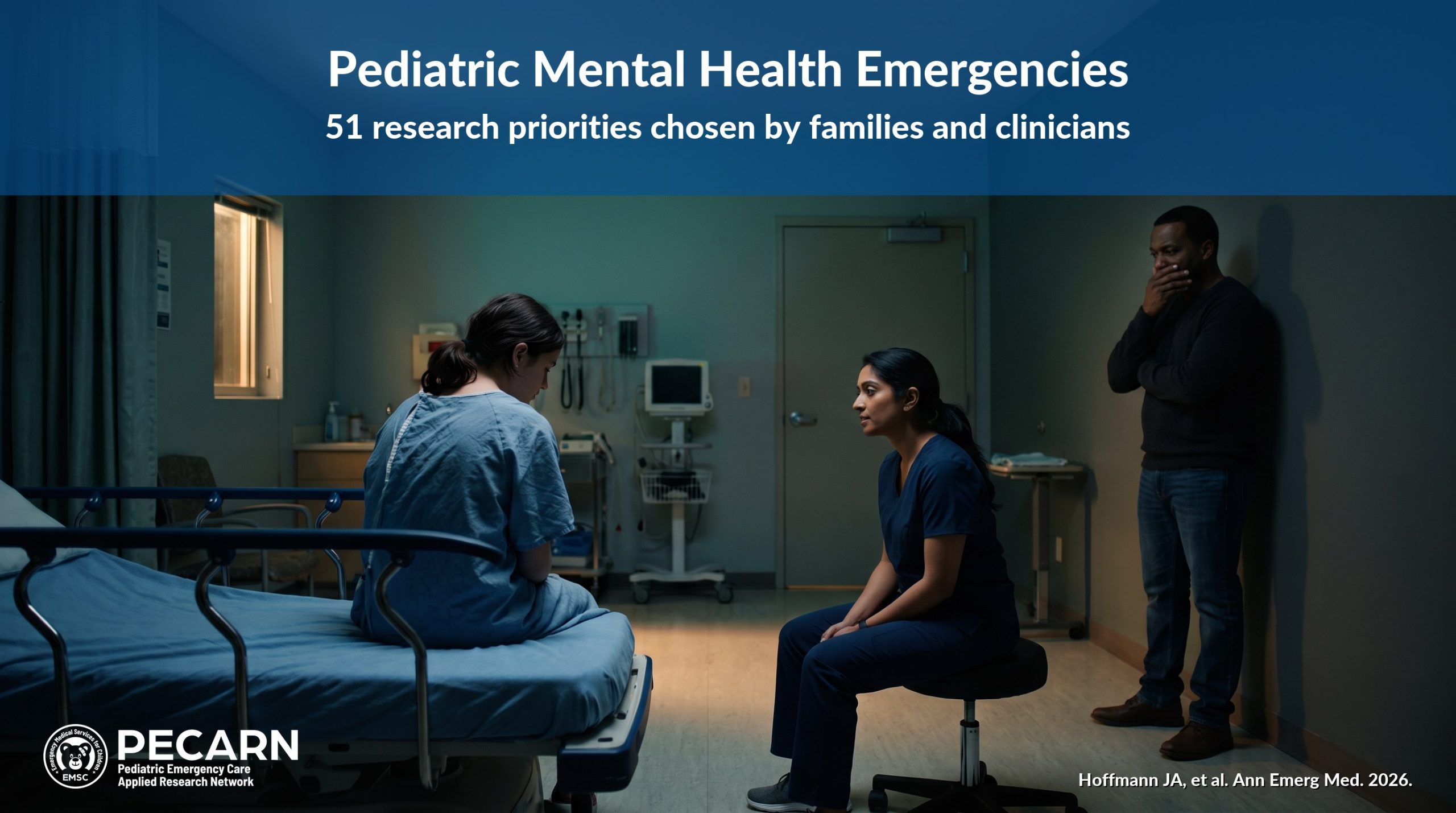 A Research Agenda for Children’s Mental Health Emergencies: What PECARN Will Study Next